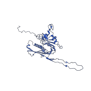29504_8fwg_r2_v1-0
Structure of neck and portal vertex of Agrobacterium phage Milano, C5 symmetry