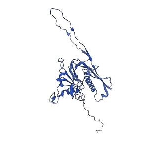 29504_8fwg_r5_v1-0
Structure of neck and portal vertex of Agrobacterium phage Milano, C5 symmetry