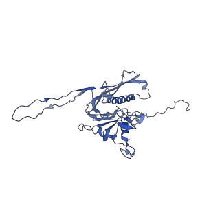 29504_8fwg_r6_v1-0
Structure of neck and portal vertex of Agrobacterium phage Milano, C5 symmetry