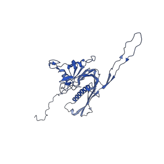 29504_8fwg_r7_v1-0
Structure of neck and portal vertex of Agrobacterium phage Milano, C5 symmetry