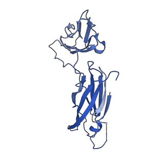 29504_8fwg_s3_v1-0
Structure of neck and portal vertex of Agrobacterium phage Milano, C5 symmetry