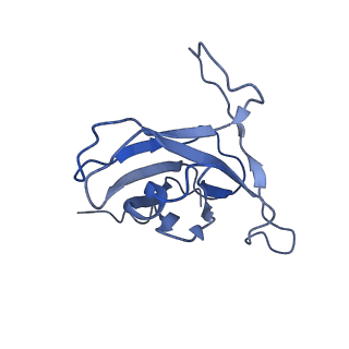 29504_8fwg_s7_v1-0
Structure of neck and portal vertex of Agrobacterium phage Milano, C5 symmetry