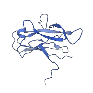29504_8fwg_t1_v1-0
Structure of neck and portal vertex of Agrobacterium phage Milano, C5 symmetry