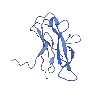 29504_8fwg_t6_v1-0
Structure of neck and portal vertex of Agrobacterium phage Milano, C5 symmetry