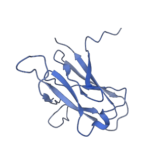 29504_8fwg_t7_v1-0
Structure of neck and portal vertex of Agrobacterium phage Milano, C5 symmetry