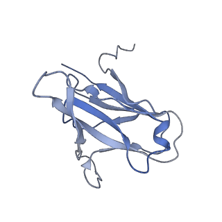 29504_8fwg_u5_v1-0
Structure of neck and portal vertex of Agrobacterium phage Milano, C5 symmetry