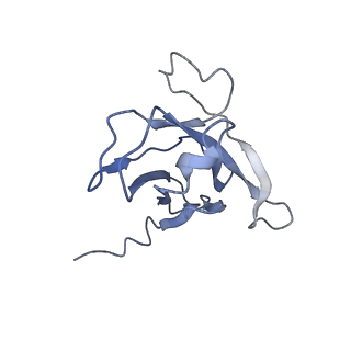 29504_8fwg_v5_v1-0
Structure of neck and portal vertex of Agrobacterium phage Milano, C5 symmetry