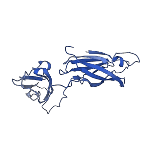 29504_8fwg_w3_v1-0
Structure of neck and portal vertex of Agrobacterium phage Milano, C5 symmetry