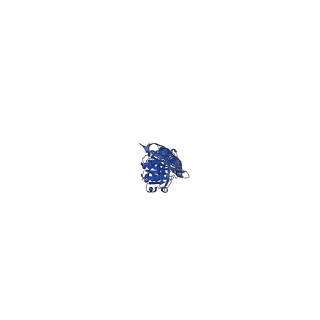 29505_8fwi_F_v1-2
Structure of dodecameric KaiC-RS-S413E/S414E solved by cryo-EM