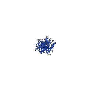 29505_8fwi_G_v1-2
Structure of dodecameric KaiC-RS-S413E/S414E solved by cryo-EM