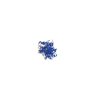 29505_8fwi_K_v1-2
Structure of dodecameric KaiC-RS-S413E/S414E solved by cryo-EM