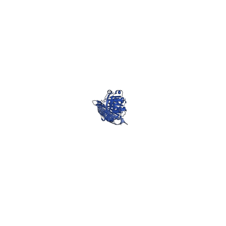29505_8fwi_L_v1-2
Structure of dodecameric KaiC-RS-S413E/S414E solved by cryo-EM