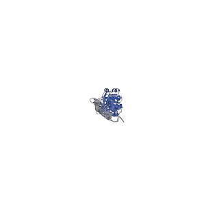 29506_8fwj_F_v1-2
Structure of dodecameric KaiC-RS-S413E/S414E complexed with KaiB-RS solved by cryo-EM