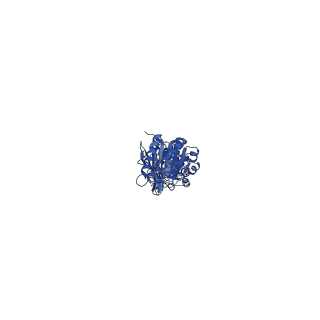 29506_8fwj_G_v1-2
Structure of dodecameric KaiC-RS-S413E/S414E complexed with KaiB-RS solved by cryo-EM