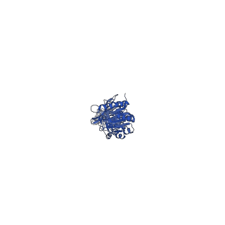 29506_8fwj_H_v1-2
Structure of dodecameric KaiC-RS-S413E/S414E complexed with KaiB-RS solved by cryo-EM