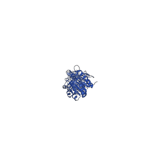 29506_8fwj_I_v1-2
Structure of dodecameric KaiC-RS-S413E/S414E complexed with KaiB-RS solved by cryo-EM