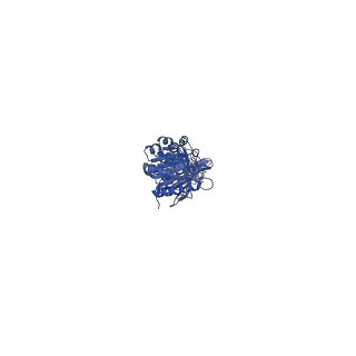 29506_8fwj_K_v1-2
Structure of dodecameric KaiC-RS-S413E/S414E complexed with KaiB-RS solved by cryo-EM