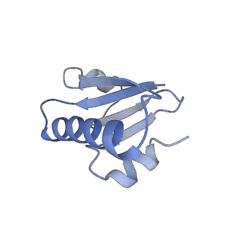 29506_8fwj_X_v1-2
Structure of dodecameric KaiC-RS-S413E/S414E complexed with KaiB-RS solved by cryo-EM
