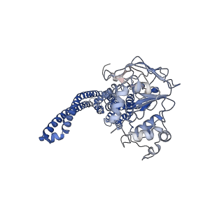 29511_8fwk_A_v1-0
CryoEM structure of Human ABCB6 Transporter