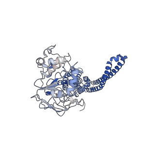 29511_8fwk_B_v1-0
CryoEM structure of Human ABCB6 Transporter