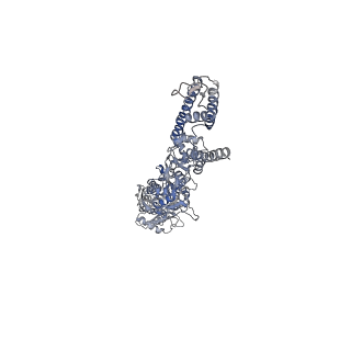 29515_8fwq_A_v1-0
Structure of kainate receptor GluK2 in complex with the positive allosteric modulator BPAM344