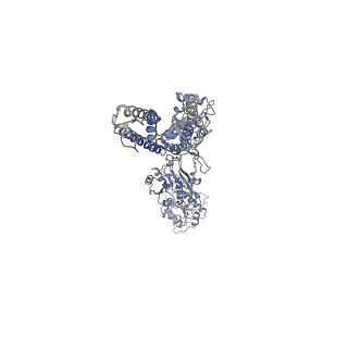 29515_8fwq_B_v1-0
Structure of kainate receptor GluK2 in complex with the positive allosteric modulator BPAM344