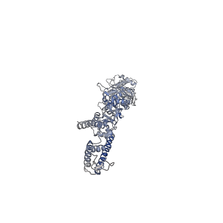 29515_8fwq_C_v1-0
Structure of kainate receptor GluK2 in complex with the positive allosteric modulator BPAM344
