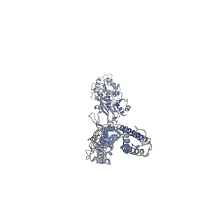 29515_8fwq_D_v1-0
Structure of kainate receptor GluK2 in complex with the positive allosteric modulator BPAM344