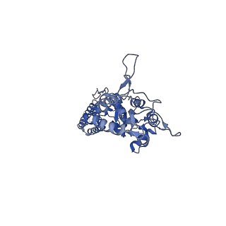 29517_8fws_B_v1-0
Structure of the ligand-binding and transmembrane domains of kainate receptor GluK2 in complex with the positive allosteric modulator BPAM344