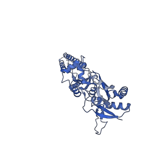 29517_8fws_C_v1-0
Structure of the ligand-binding and transmembrane domains of kainate receptor GluK2 in complex with the positive allosteric modulator BPAM344
