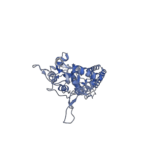 29517_8fws_D_v1-0
Structure of the ligand-binding and transmembrane domains of kainate receptor GluK2 in complex with the positive allosteric modulator BPAM344