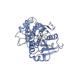 29518_8fwt_C_v1-0
Structure of the amino terminal domain of kainate receptor GluK2 in complex with the positive allosteric modulator BPAM344 and competitive antagonist DNQX