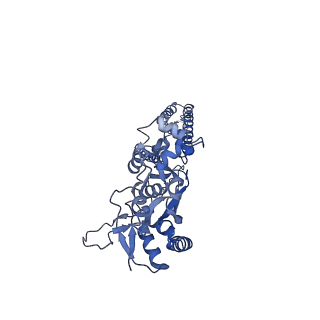 29519_8fwu_A_v1-0
Structure of the ligand-binding and transmembrane domains of kainate receptor GluK2 in complex with the positive allosteric modulator BPAM344 and competitive antagonist DNQX