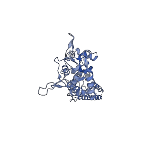 29519_8fwu_B_v1-0
Structure of the ligand-binding and transmembrane domains of kainate receptor GluK2 in complex with the positive allosteric modulator BPAM344 and competitive antagonist DNQX