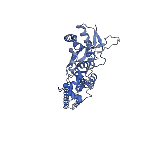 29519_8fwu_C_v1-0
Structure of the ligand-binding and transmembrane domains of kainate receptor GluK2 in complex with the positive allosteric modulator BPAM344 and competitive antagonist DNQX
