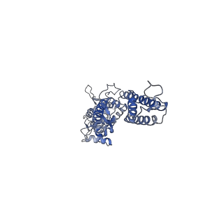 29521_8fww_B_v1-0
Structure of the ligand-binding and transmembrane domains of kainate receptor GluK2 in complex with the positive allosteric modulator BPAM344 and noncompetitive inhibitor perampanel