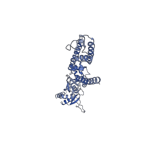 29521_8fww_C_v1-0
Structure of the ligand-binding and transmembrane domains of kainate receptor GluK2 in complex with the positive allosteric modulator BPAM344 and noncompetitive inhibitor perampanel