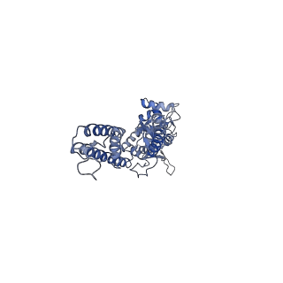 29521_8fww_D_v1-0
Structure of the ligand-binding and transmembrane domains of kainate receptor GluK2 in complex with the positive allosteric modulator BPAM344 and noncompetitive inhibitor perampanel