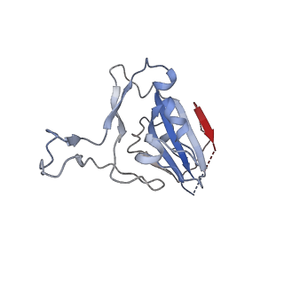 29530_8fxb_E_v1-0
SARS-CoV-2 XBB.1 spike RBD bound to the human ACE2 ectodomain and the S309 neutralizing antibody Fab fragment