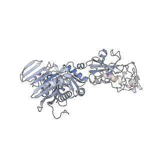29534_8fxi_A_v1-4
Cryo-EM structure of Stanieria sp. CphA2 in complex with ADPCP and 4x(beta-Asp-Arg)