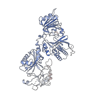 29534_8fxi_B_v1-4
Cryo-EM structure of Stanieria sp. CphA2 in complex with ADPCP and 4x(beta-Asp-Arg)