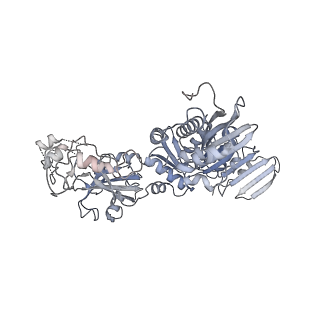 29534_8fxi_F_v1-4
Cryo-EM structure of Stanieria sp. CphA2 in complex with ADPCP and 4x(beta-Asp-Arg)