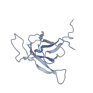 29540_8fxp_0E_v1-0
Structure of capsid of Agrobacterium phage Milano