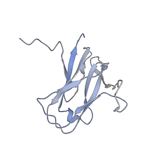29540_8fxp_0H_v1-0
Structure of capsid of Agrobacterium phage Milano