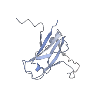 29540_8fxp_1_v1-0
Structure of capsid of Agrobacterium phage Milano