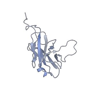 29540_8fxp_6_v1-0
Structure of capsid of Agrobacterium phage Milano