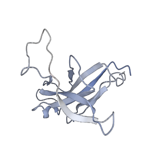 29540_8fxp_7_v1-0
Structure of capsid of Agrobacterium phage Milano