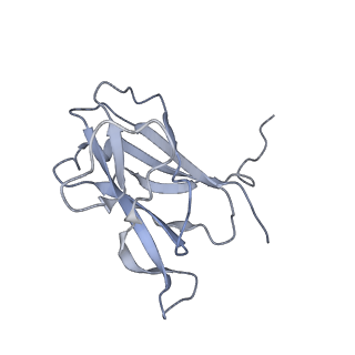 29540_8fxp_8_v1-0
Structure of capsid of Agrobacterium phage Milano