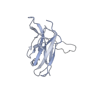 29540_8fxp_9_v1-0
Structure of capsid of Agrobacterium phage Milano