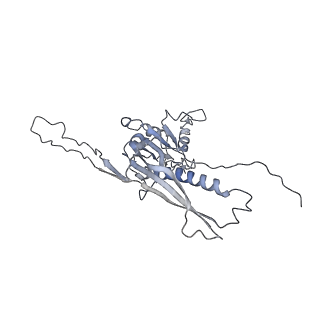 29540_8fxp_AA_v1-0
Structure of capsid of Agrobacterium phage Milano